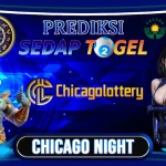 CHICAGO NIGHT